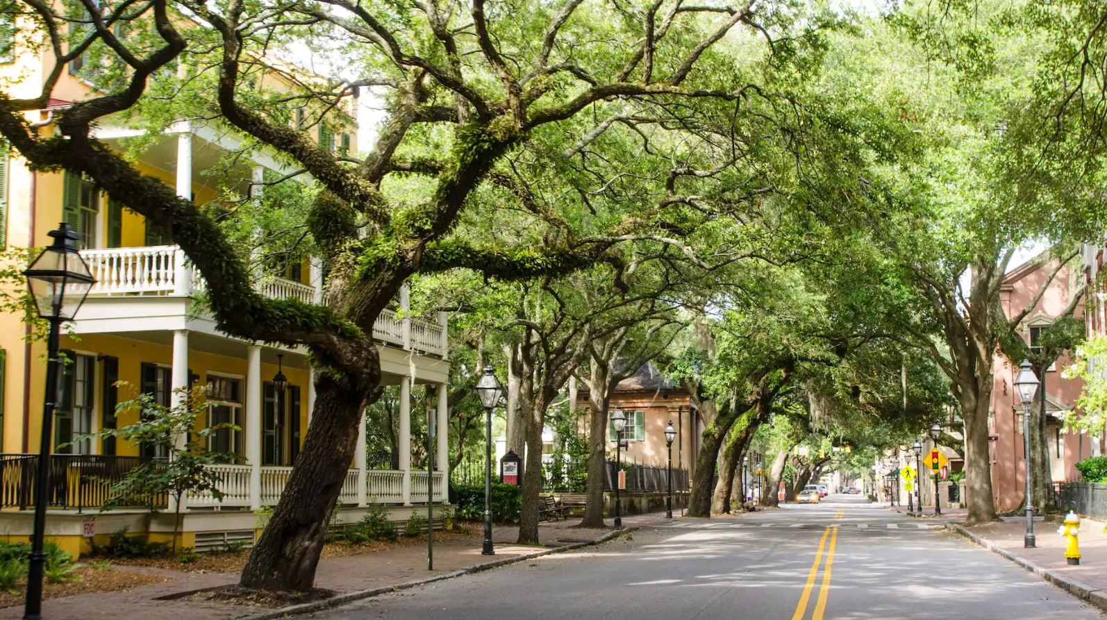 Charleston with Live Oak